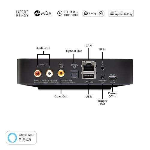 Back panel of an audio streaming device with various ports labeled.