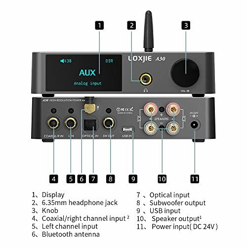 Loxjie A30 audio amplifier with labeled features and ports.